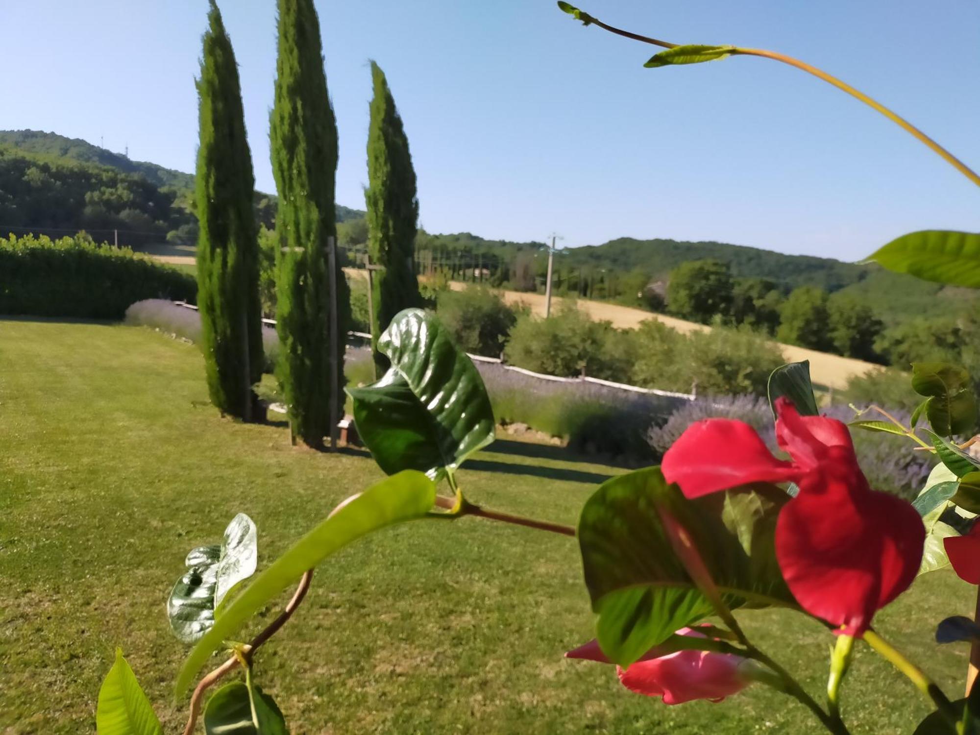 Suite Assisi Esterno foto